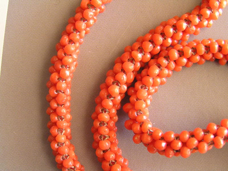 Red Coral