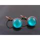 Copper and Teal Sleeper Earrings