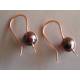 Large Garnet Earrings