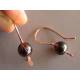 Large Garnet Earrings