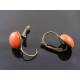 Burnt Orange Sleeper Earrings