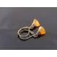 Triangular Carnelian Earrings