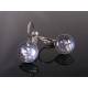 Sparkling Sleeper Earrings