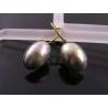 Shiny Silver Cabochon Earrings