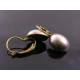 Shiny Silver Cabochon Earrings