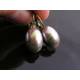 Shiny Silver Cabochon Earrings