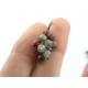 Bloodstone Earrings