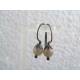 Grey Moonstone Earrings