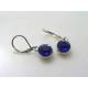 Cute Blue Chrystal Earrings