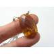 Hessonite Garnet Necklace