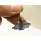 Blue Flower Earrings