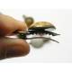 Hair Clip, Brooch