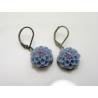 Crystal Set Blue Flower Earrings