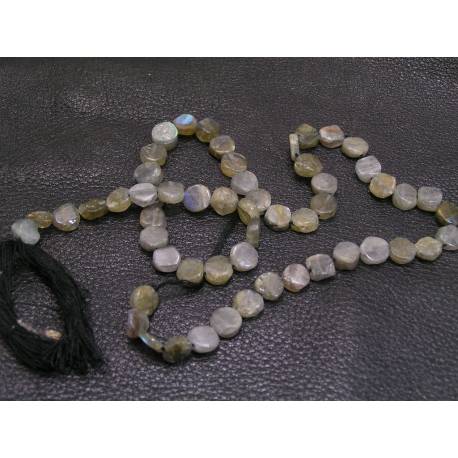 Labradorite Coins, 39cm strand
