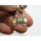 Silver Earrings with shimmering Cabochons
