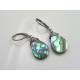 Paua Shell Earrings, Abalone