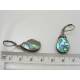 Paua Shell Earrings